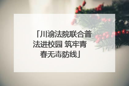 川渝法院联合普法进校园 筑牢青春无毒防线