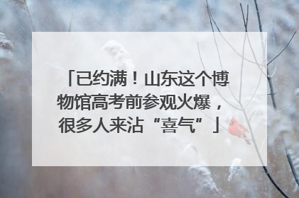 已约满！山东这个博物馆高考前参观火爆，很多人来沾“喜气”