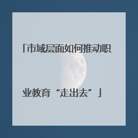 市域层面如何推动职业教育“走出去”