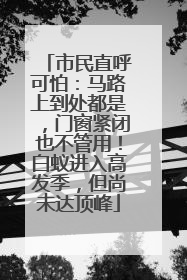 市民直呼可怕：马路上到处都是，门窗紧闭也不管用！白蚁进入高发季，但尚未达顶峰
