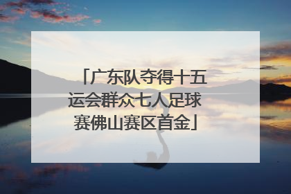 广东队夺得十五运会群众七人足球赛佛山赛区首金