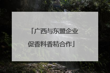 广西与东盟企业促香料香精合作