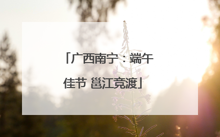 广西南宁：端午佳节 邕江竞渡