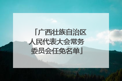 广西壮族自治区人民代表大会常务委员会任免名单