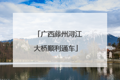 广西藤州浔江大桥顺利通车