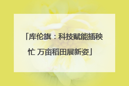 库伦旗：科技赋能插秧忙 万亩稻田展新姿