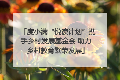 度小满“悦读计划”携手乡村发展基金会 助力乡村教育繁荣发展