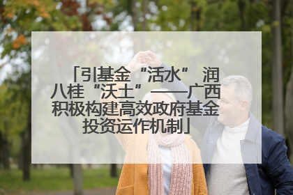 引基金“活水” 润八桂“沃土”——广西积极构建高效政府基金投资运作机制