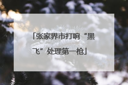 张家界市打响“黑飞”处理第一枪