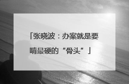 张晓波：办案就是要啃最硬的“骨头”