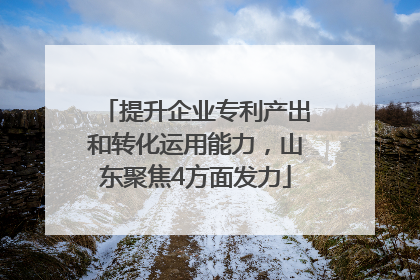 提升企业专利产出和转化运用能力，山东聚焦4方面发力