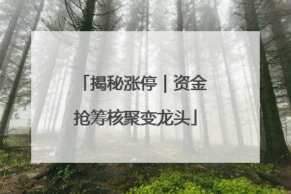 揭秘涨停｜资金抢筹核聚变龙头