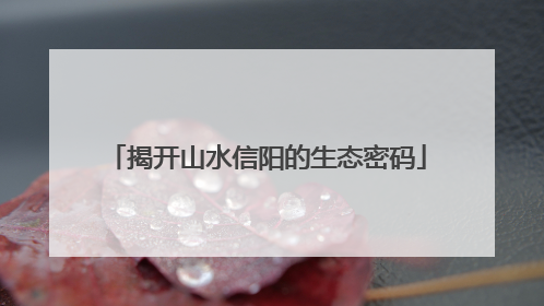 揭开山水信阳的生态密码