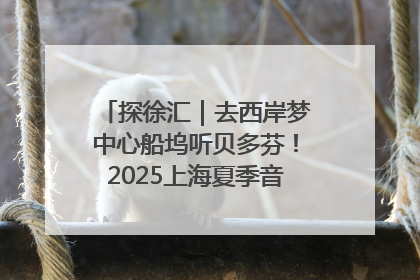 探徐汇｜去西岸梦中心船坞听贝多芬！2025上海夏季音乐节公布节目阵容