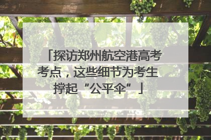 探访郑州航空港高考考点，这些细节为考生撑起“公平伞”