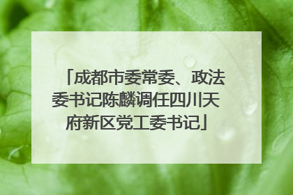成都市委常委、政法委书记陈麟调任四川天府新区党工委书记