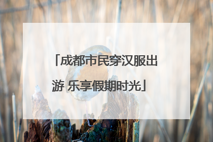 成都市民穿汉服出游 乐享假期时光