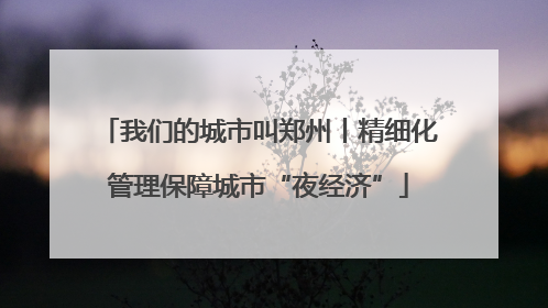 我们的城市叫郑州丨精细化管理保障城市“夜经济”