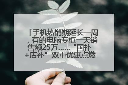手机热销期延长一周，有的电脑专柜一天销售额25万……“国补+店补”双重优惠点燃德州“考后经济”