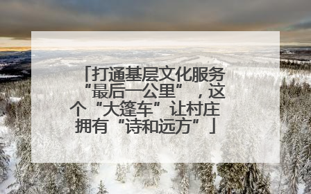 打通基层文化服务“最后一公里”，这个“大篷车”让村庄拥有“诗和远方”