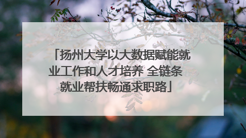 扬州大学以大数据赋能就业工作和人才培养 全链条就业帮扶畅通求职路
