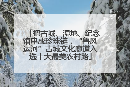 把古城、湿地、纪念馆串成珍珠链，“鲁风运河”古城文化廊道入选十大最美农村路