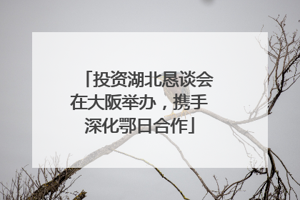 投资湖北恳谈会在大阪举办，携手深化鄂日合作