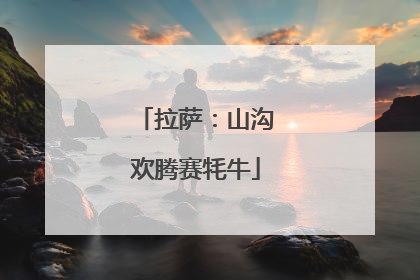 拉萨：山沟欢腾赛牦牛