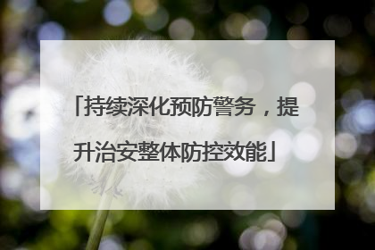 持续深化预防警务，提升治安整体防控效能