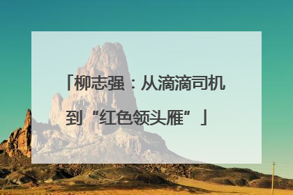 柳志强：从滴滴司机到“红色领头雁”
