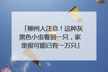 柳州人注意！这种灰黑色小虫看到一只，家里很可能已有一万只