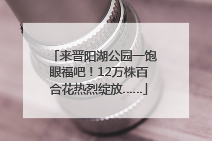来晋阳湖公园一饱眼福吧！12万株百合花热烈绽放……