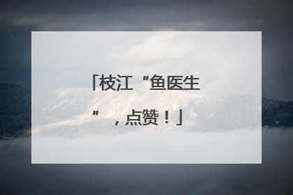 枝江“鱼医生”，点赞！