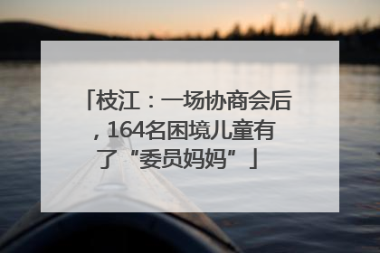 枝江：一场协商会后，164名困境儿童有了“委员妈妈”