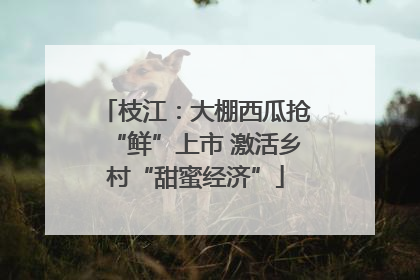 枝江：大棚西瓜抢“鲜”上市 激活乡村“甜蜜经济”