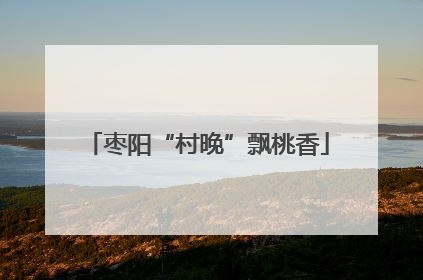 枣阳“村晚”飘桃香