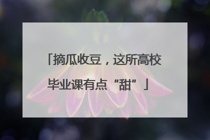 摘瓜收豆，这所高校毕业课有点“甜”