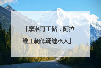 摩洛哥王储：阿拉维王朝低调继承人