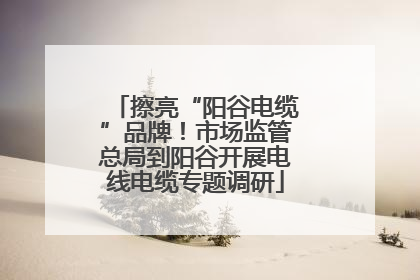 擦亮“阳谷电缆”品牌！市场监管总局到阳谷开展电线电缆专题调研