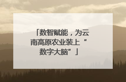 数智赋能，为云南高原农业装上“数字大脑”