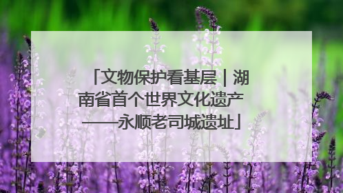 文物保护看基层｜湖南省首个世界文化遗产——永顺老司城遗址