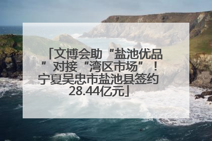 文博会助“盐池优品”对接“湾区市场”！宁夏吴忠市盐池县签约28.44亿元