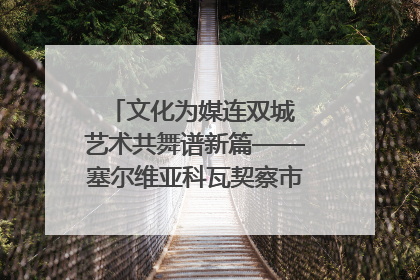 文化为媒连双城 艺术共舞谱新篇——塞尔维亚科瓦契察市代表团访问日照