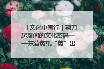 文化中国行｜剪刀起落间的文化密码——东营剪纸“剪”出非遗传承与现代生活的融合之道