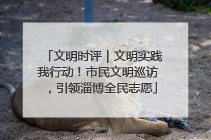 文明时评｜文明实践我行动！市民文明巡访，引领淄博全民志愿