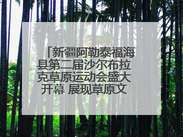 新疆阿勒泰福海县第二届沙尔布拉克草原运动会盛大开幕 展现草原文化魅力