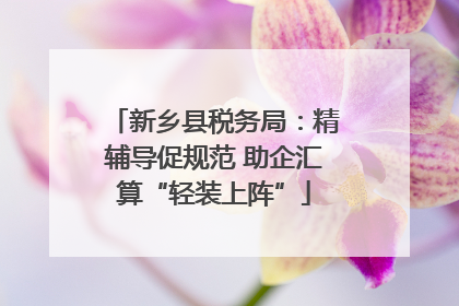 新乡县税务局：精辅导促规范 助企汇算“轻装上阵”