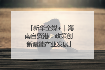 新华全媒+｜海南自贸港：政策创新赋能产业发展