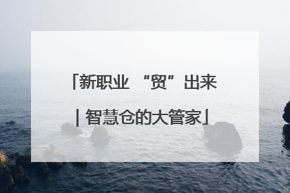 新职业 “贸”出来｜智慧仓的大管家