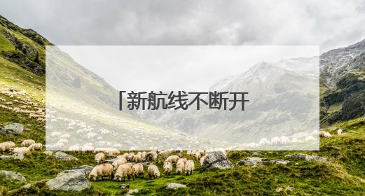 新航线不断开通！厦门港航运网络更丰富